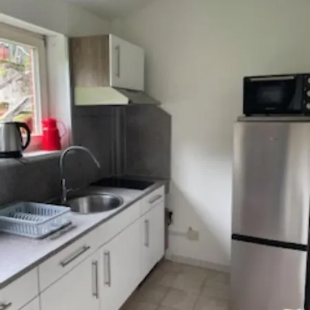 公寓式酒店 Zum Alten Schifferhaus